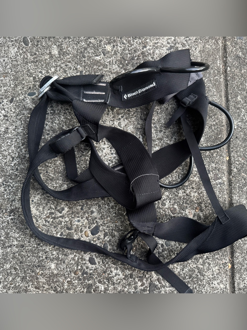 Black Diamond  Alpine Body Harness Black Size Medium